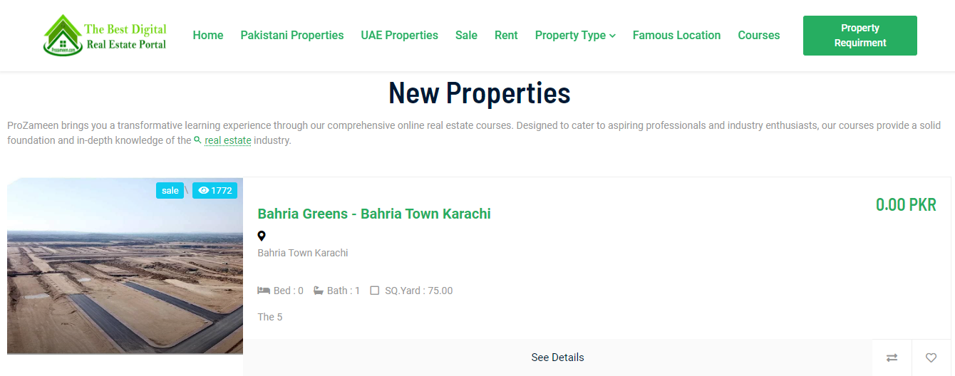 Real Estate Project